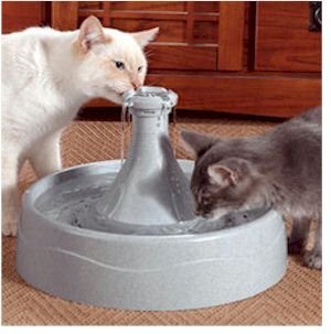 Drinkwell 360 Fountain By Radio Systems Corp