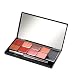 Joey NY Specialty lipFIT Lip Palette, .48-Ounce Palette