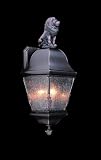 Framburg 9605 Iron Iron Coeur de Lion Collecion Tropical / Safari Outdoor Wall Sconces from the Coeu