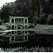 Opeth:Best to Worst