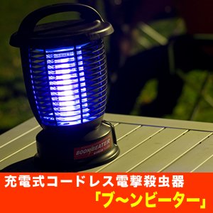 自宅で美人の若妻達が旦那の前でオナニーしてるエッチ写真