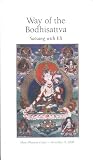 Review   / Way of the Bodhisattva. Satsang with Eli. Maui Dharma Center.