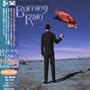 Burning Rain