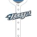 Turner MLB Toronto Blue Jays Stretch Book Covers (8190029)