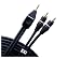 Monster Cable IP200-1M Monster Standard Interlink Portable 200-Stereo RCA to Mini 1 m. pair (3.28 ft.)