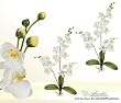 TWO 30" Phalaenopsis Orchid Artificial Silk Flower Bendable Sprays