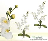 TWO 30" Phalaenopsis Orchid Artificial Silk Flower Bendable Sprays