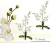 TWO 30" Phalaenopsis Orchid Artificial Silk Flower Bendable Sprays