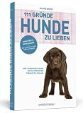 111 Gr&uuml;nde, Hunde zu lieben - Erweiterte Neuausgabe - Eine Liebeserkl&auml;rung an des Menschen treuesten Freund - mit 33 zus&auml;tzlichen Gr&uuml;nden - Hauke Brost