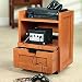 Video Game Organizer; Distressed Black