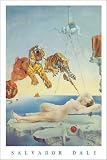 Salvador Dali (Flight of Bumblebee / One Second Before Awakening) Art Poster Print - 24" X 36"