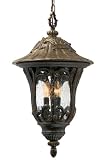 Ellerbee Hanging Lantern, 23 � Hx13 � D, ADAGIO - B0026Q8WNS
