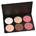 Coastal Scents Contour and Blush Palette