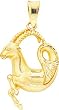 14K Gold Capricorn Zodiac Pendant