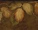 Chocolate Botanical Wallpaper Border