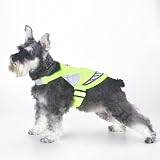 犬の散歩用安全ベスト（有機EL使用のペット用品）Mサイズ：グリーン:LumiJack