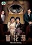 "Phoenix Rising" (US Version)(In Cantonese w/ Chinese & English Subtitled) Hong Kong TVB 20 Episode Drama Series ~Louisa So, Sunny Chan, Crystal Tin, Leila Tong, Jack Wu
