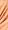 Champagne / Orange paisley