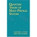 Quantum Theory of Many-Particle Systems