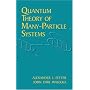 Quantum Theory of Many-Particle Systems