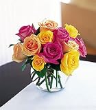 Multi-Colored Roses