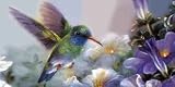 Airbrushed License Plate -Hummingbird License Plate - 914