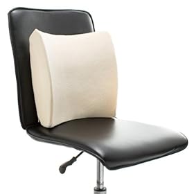  Pleasure Pedic Memory Foam Back Cushion