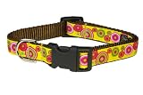 Medium Yellow/Fuchsia Swiss Dot Dog Collar: 3/4" wide, Adjusts 13-20" - Made in USA.