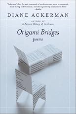 Origami Bridges: Poems of Psychoanalysis and Fire