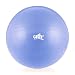 Fitness by Cathe 75cm 1000-Pound Anti-Burst Body Ball with DVD (Sky Blue)