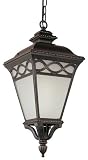 Bel Air Lighting PL-50516 BRB Burnished Bornze Outdoor Hanging Light