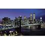 Manhattan Lights Wall Mural