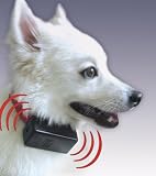 Anti No Bark pet collar.