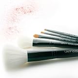 UNT Professional Luxury Makeup Brush Set/ 5 Brushes + Case