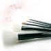 UNT Professional Luxury Makeup Brush Set/ 5 Brushes + Case