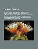Ceratopsids: Triceratops, Styracosaurus, Ceratopsidae, Centrosaurus, Monoclonius, Torosaurus, Pachyrhinosaurus, Chasmosaurus, Anchiceratops