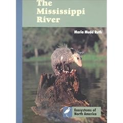 The Mississippi River
