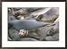 Female northern elephant seals and their pups bask during spring molt Framed Art Poster Print by Rich Reid, 29x21