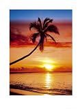 Paradise (Sunset & Palm Tree) Art Poster Print - 24 X 32