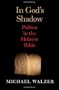 In God's Shadow: Politics in the Hebrew Bible