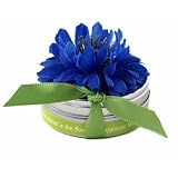 Bloembox Tiny Tin Edible Flowers: Cornflower