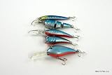 Lot of 5 Shad Colored Fishing Lures for Bass / Trout B
