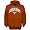 Texas Longhorns Burnt Orange Arched Hoody Sweatshirt