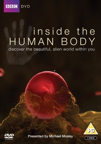 Inside the Human Body