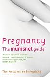 Pregnancy : the Mumsnet guide