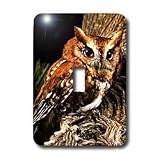 Birds - Owl - Light Switch Covers - single toggle switch