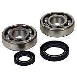 04-11 KAWASAKI KX250F: HOT RODS CRANK BEARINGS AND SEALS KIT by Hot Rods