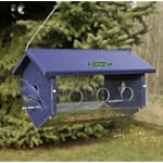 Duncraft Easy View Bluebird Feeder