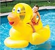 Giant Inflatable Floating Pool Ducky