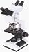 GX Microscopes XSZ-N204 Multiviewing Microscope Biological Upright Two Binocular High Power (x40-x1000) Transmitted Illumination